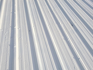 Metal Roof Installer - Kokomo, IN1